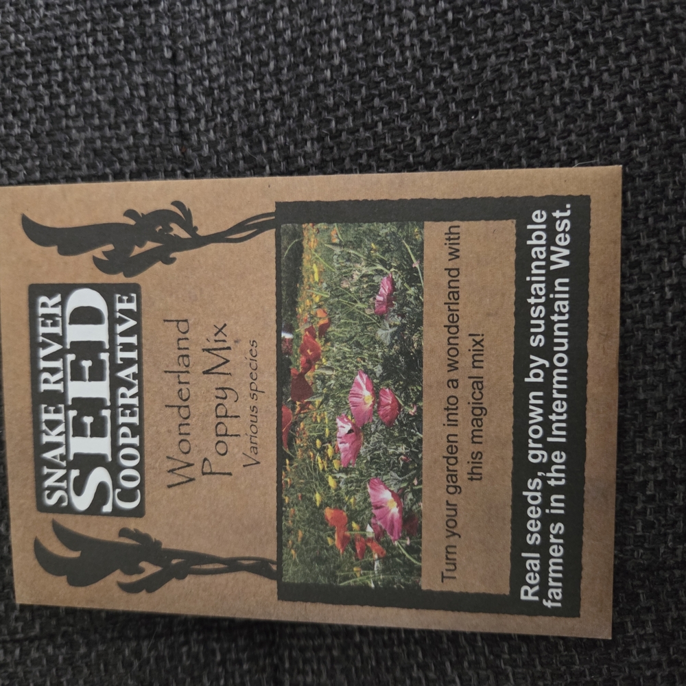 Wonderland Poppy Mix Seed Packet